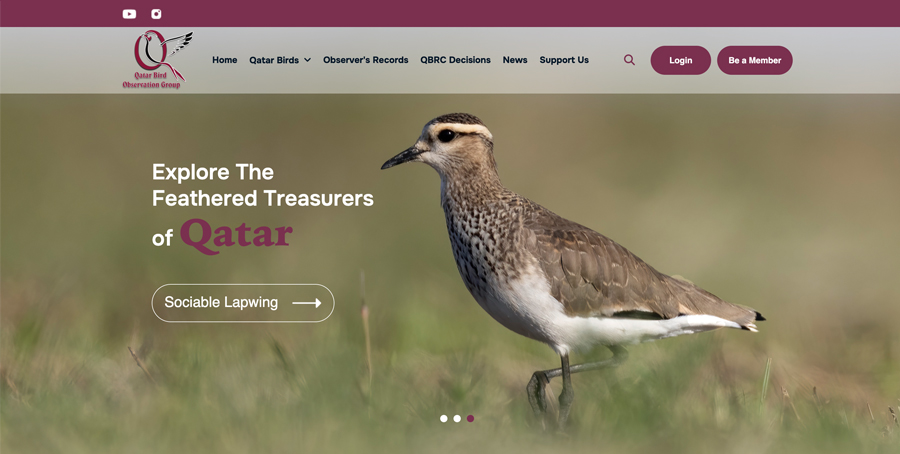 Qatar Birds